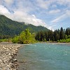 Hoh Rain Forest